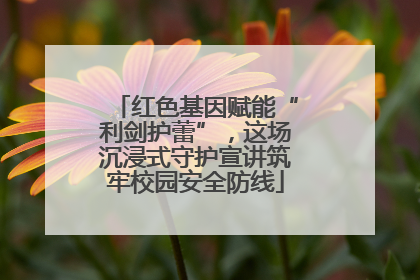 红色基因赋能“利剑护蕾”，这场沉浸式守护宣讲筑牢校园安全防线