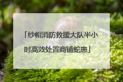 纱帽消防救援大队半小时高效处置商铺蛇患
