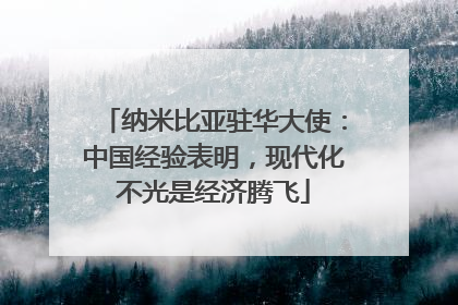 纳米比亚驻华大使：中国经验表明，现代化不光是经济腾飞