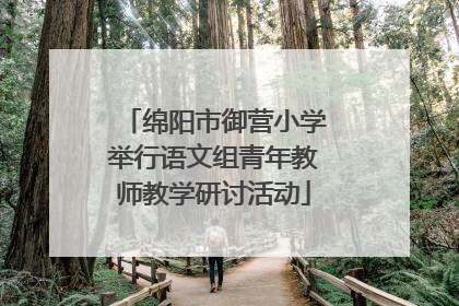 绵阳市御营小学举行语文组青年教师教学研讨活动