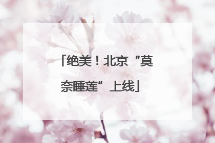 绝美！北京“莫奈睡莲”上线