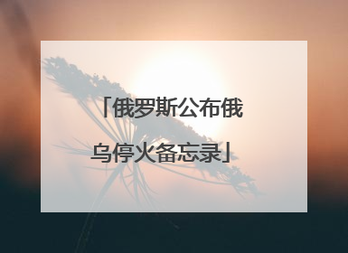 俄罗斯公布俄乌停火备忘录
