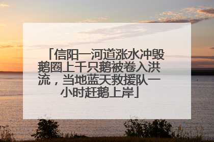 信阳一河道涨水冲毁鹅圈上千只鹅被卷入洪流，当地蓝天救援队一小时赶鹅上岸