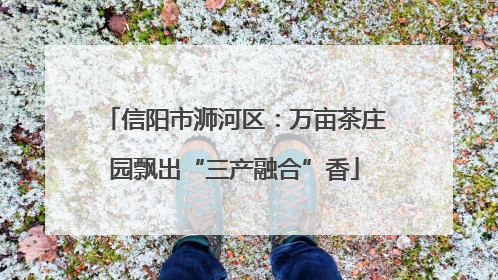 信阳市浉河区：万亩茶庄园飘出“三产融合”香