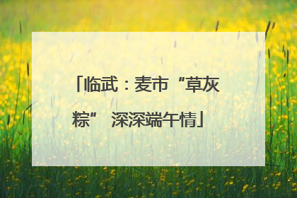 临武：麦市“草灰粽” 深深端午情
