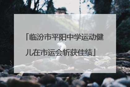 临汾市平阳中学运动健儿在市运会斩获佳绩