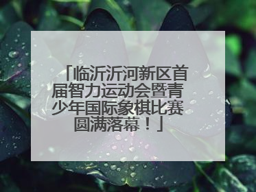临沂沂河新区首届智力运动会暨青少年国际象棋比赛圆满落幕！