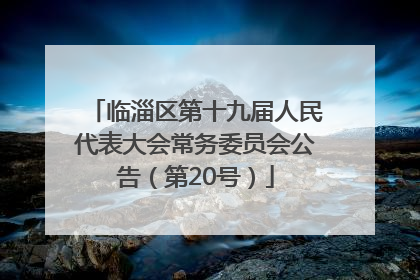 临淄区第十九届人民代表大会常务委员会公告（第20号）