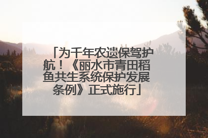 为千年农遗保驾护航！《丽水市青田稻鱼共生系统保护发展条例》正式施行
