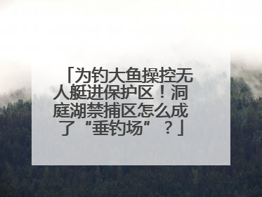 为钓大鱼操控无人艇进保护区！洞庭湖禁捕区怎么成了“垂钓场”？