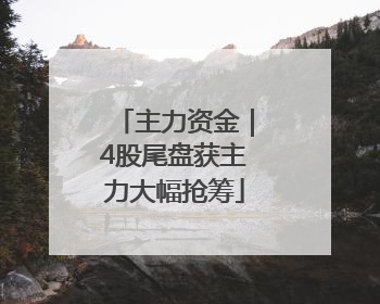 主力资金｜4股尾盘获主力大幅抢筹