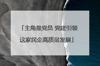 主角是党员 党建引领这家民企高质量发展
