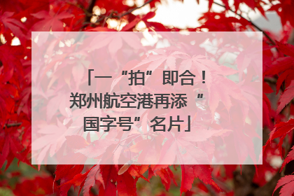 一“拍”即合！郑州航空港再添“国字号”名片