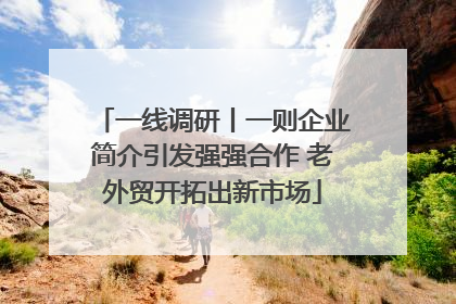 一线调研丨一则企业简介引发强强合作 老外贸开拓出新市场