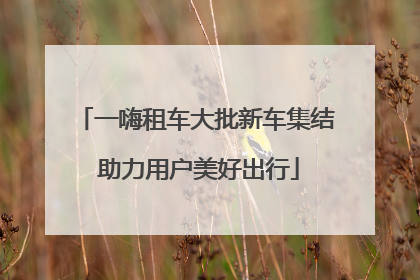 一嗨租车大批新车集结 助力用户美好出行