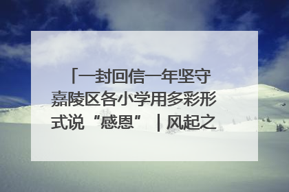 一封回信一年坚守 嘉陵区各小学用多彩形式说“感恩”｜风起之江 扶摇直上