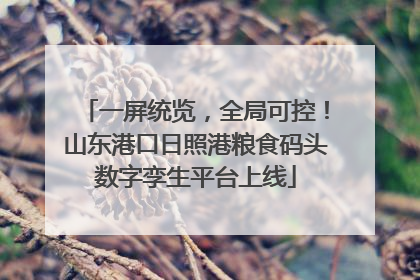 一屏统览，全局可控！山东港口日照港粮食码头数字孪生平台上线