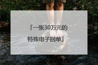 一张30万元的特殊电子回单