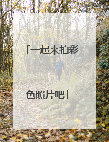 一起来拍彩色照片吧