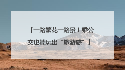 一路繁花一路景！乘公交也能玩出“旅游感”