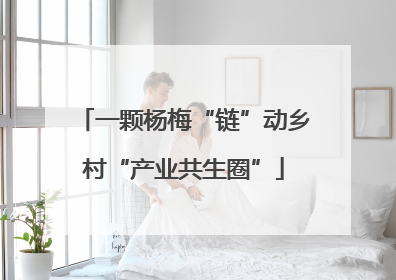 一颗杨梅“链”动乡村“产业共生圈”