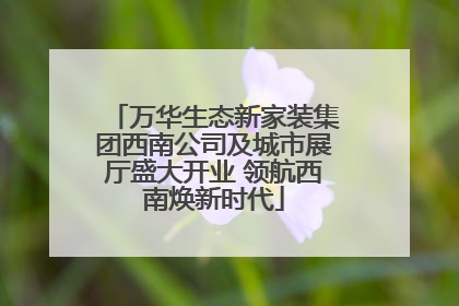 万华生态新家装集团西南公司及城市展厅盛大开业 领航西南焕新时代