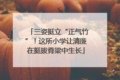 三姿挺立“正气竹”！这所小学让清廉在挺拔脊梁中生长