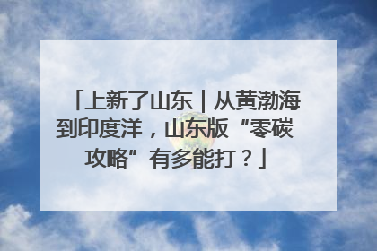 上新了山东｜从黄渤海到印度洋，山东版“零碳攻略”有多能打？