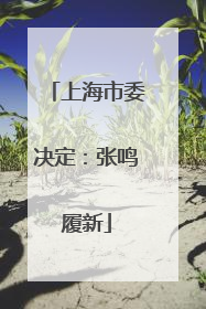 上海市委决定：张鸣履新