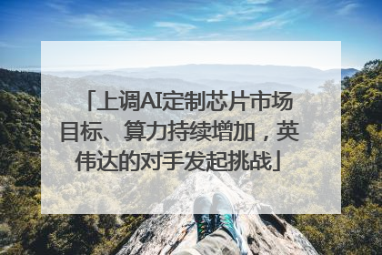 上调AI定制芯片市场目标、算力持续增加，英伟达的对手发起挑战