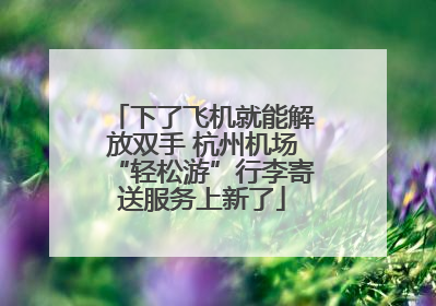 下了飞机就能解放双手 杭州机场“轻松游”行李寄送服务上新了