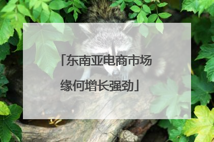 东南亚电商市场缘何增长强劲