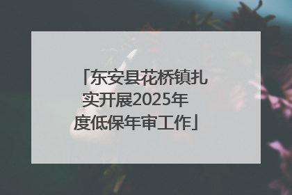 东安县花桥镇扎实开展2025年度低保年审工作