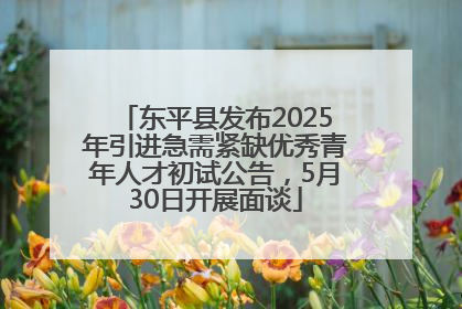 东平县发布2025年引进急需紧缺优秀青年人才初试公告，5月30日开展面谈