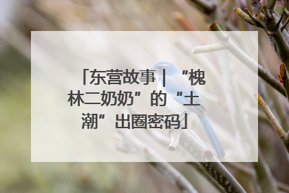 东营故事｜“槐林二奶奶”的“土潮”出圈密码