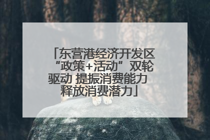 东营港经济开发区“政策+活动”双轮驱动 提振消费能力 释放消费潜力