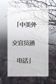 中美外交官员通电话