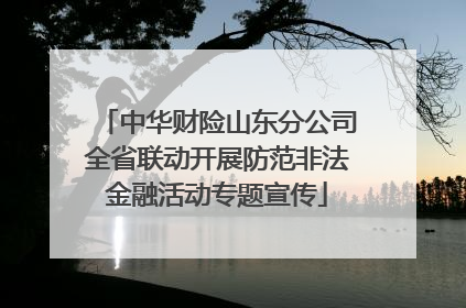 中华财险山东分公司全省联动开展防范非法金融活动专题宣传