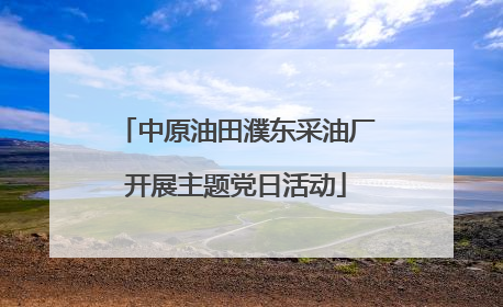 中原油田濮东采油厂开展主题党日活动