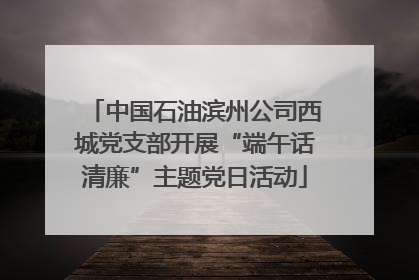 中国石油滨州公司西城党支部开展“端午话清廉”主题党日活动