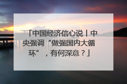 中国经济信心说丨中央强调“做强国内大循环”，有何深意？