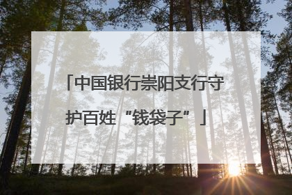 中国银行崇阳支行守护百姓“钱袋子”