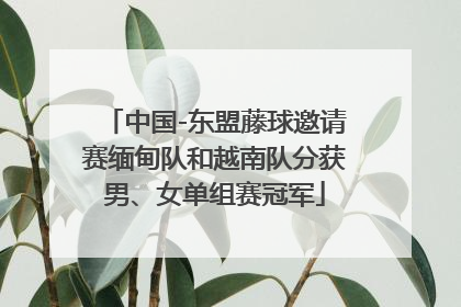 中国-东盟藤球邀请赛缅甸队和越南队分获男、女单组赛冠军