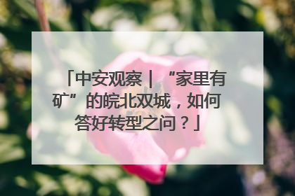 中安观察｜“家里有矿”的皖北双城，如何答好转型之问？