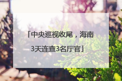 中央巡视收尾，海南3天连查3名厅官