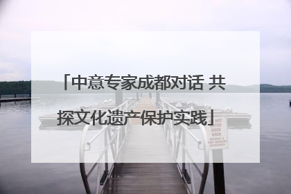 中意专家成都对话 共探文化遗产保护实践