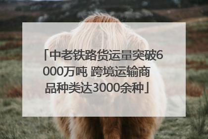 中老铁路货运量突破6000万吨 跨境运输商品种类达3000余种