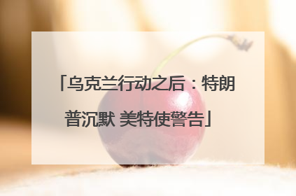 乌克兰行动之后：特朗普沉默 美特使警告