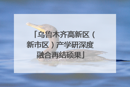 乌鲁木齐高新区（新市区）产学研深度融合再结硕果