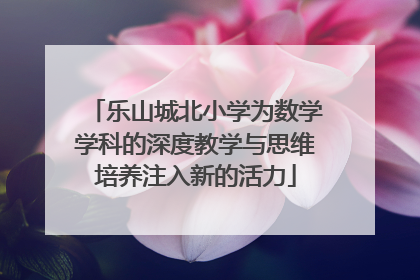 乐山城北小学为数学学科的深度教学与思维培养注入新的活力